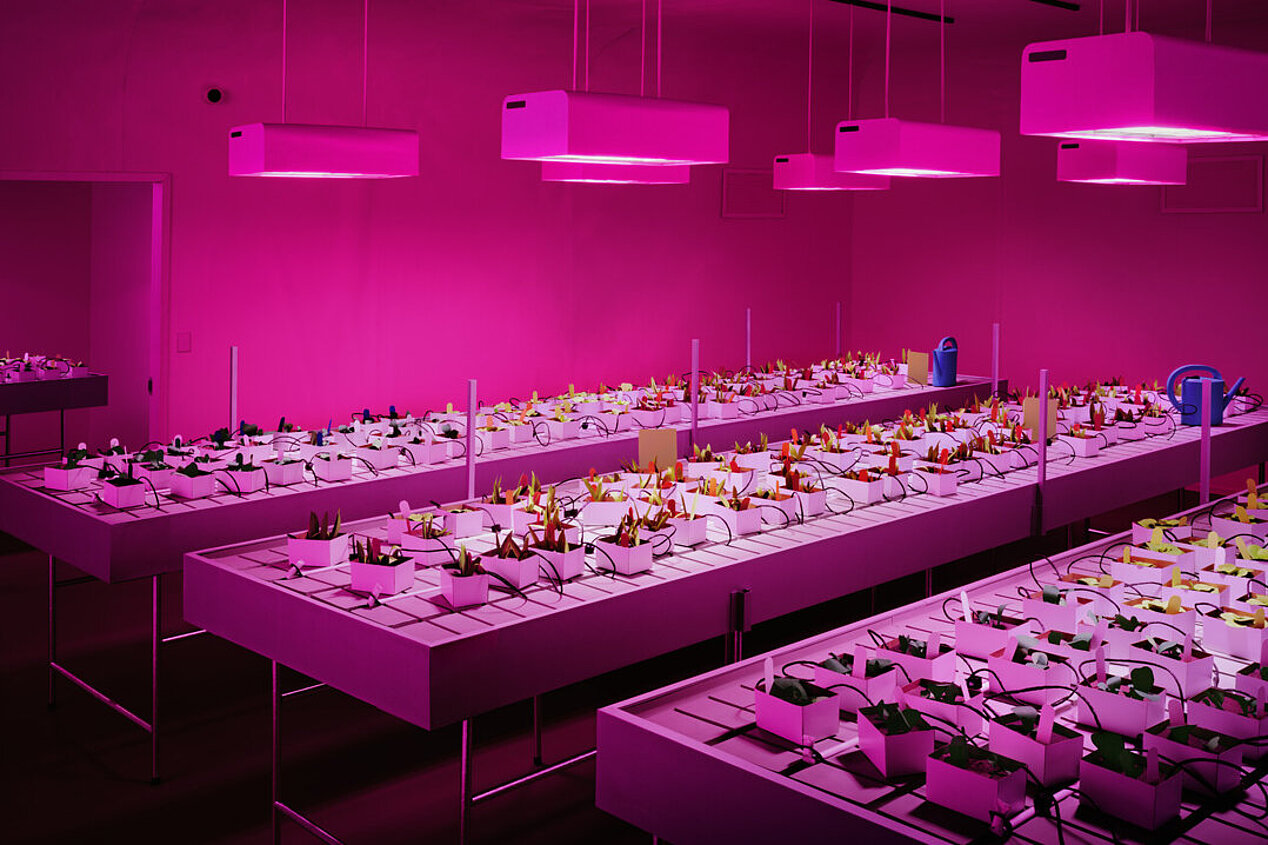 Drei pinke Tische in pinkfarbenem Raum. Darauf stehen Boxen mit kleinen Pflanzenskulpturen und Gießkannen.
