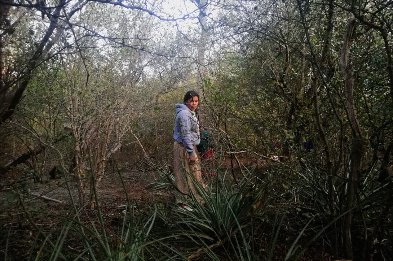 Im Wald. Eine Frau aus der Wichí-Gemeinde sammelt Chaguar-Pflanzen zur Herstellung von Textilien