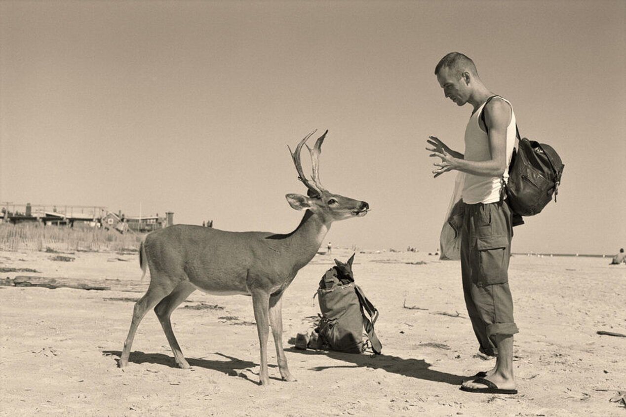 A deer and a human are facing each other.
