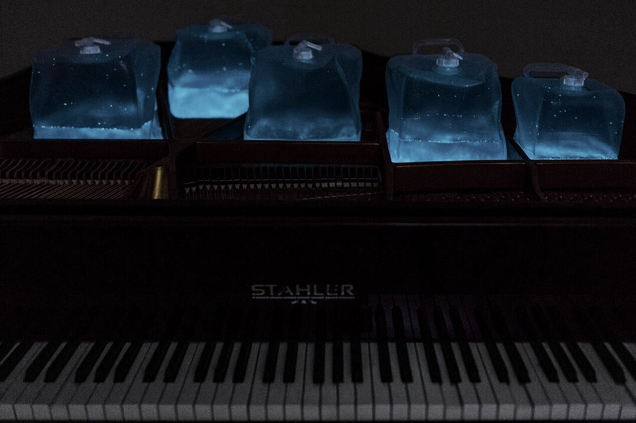 Multitudes von Andreas Greiner, zu sehen ist ein Pianola, auf dem fünf Wasserbehälter mit biolumineszierenden Algen stehen, die natürliches blaues Licht aussenden